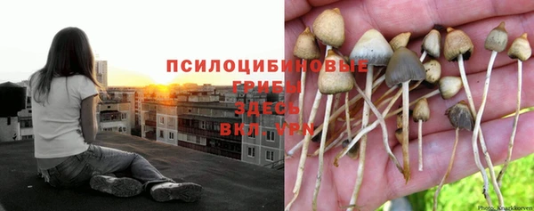 a pvp Новокубанск