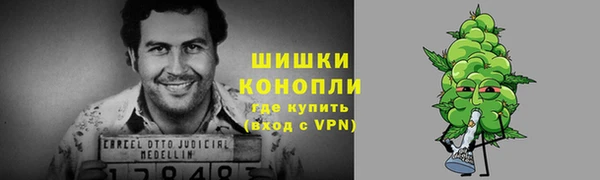 гидра Гатчина