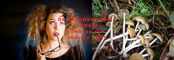 мескалин Новозыбков