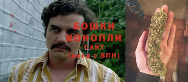 MESCALINE Гвардейск