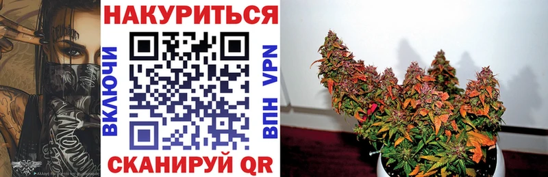 дарк нет какой сайт  Шагонар  Канабис индика 