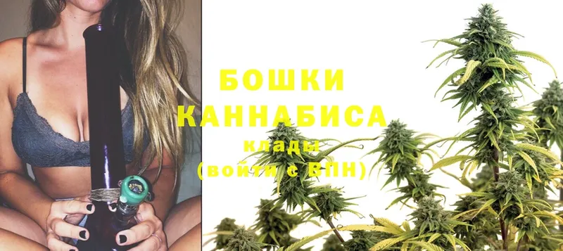 что такое   Шагонар  Канабис LSD WEED 